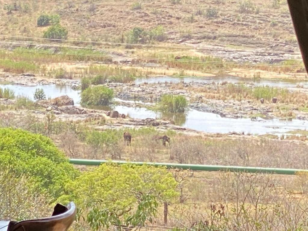 Croc River Lodge 코마티푸르트 외부 사진